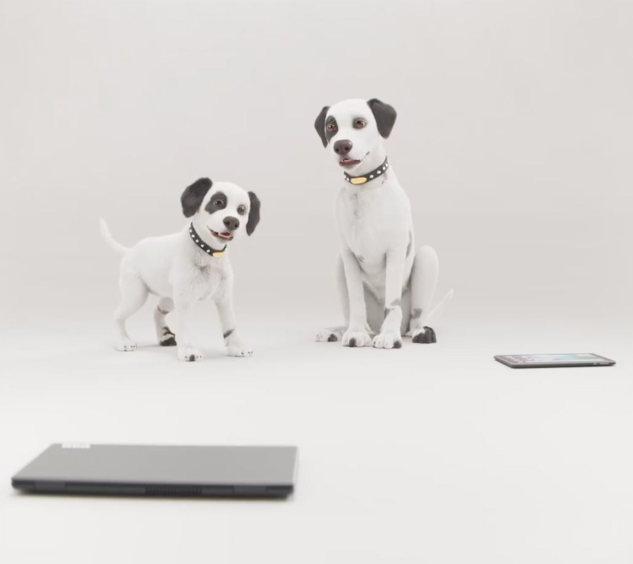 Nipper Co To Jest at Ana Means blog